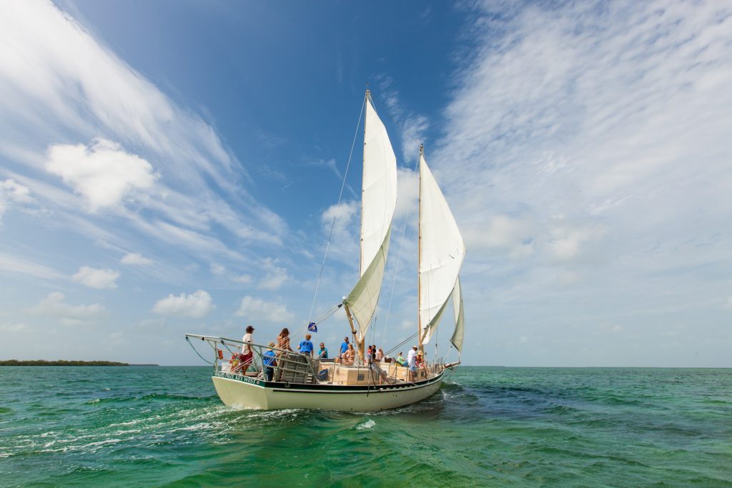 Key West Sail, Snorkel, Kayak with Sunset Option Image 4