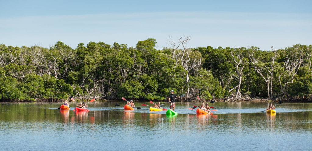 Key West Sail, Snorkel, Kayak with Sunset Option Image 7