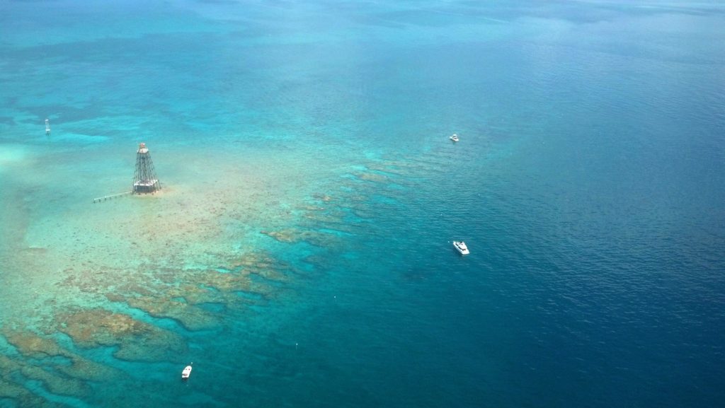 Key West Island & Reef Biplane Tour Image 5