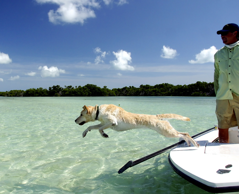 Dog Beach — Inside Key West