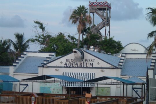Inside Key West Aquarium